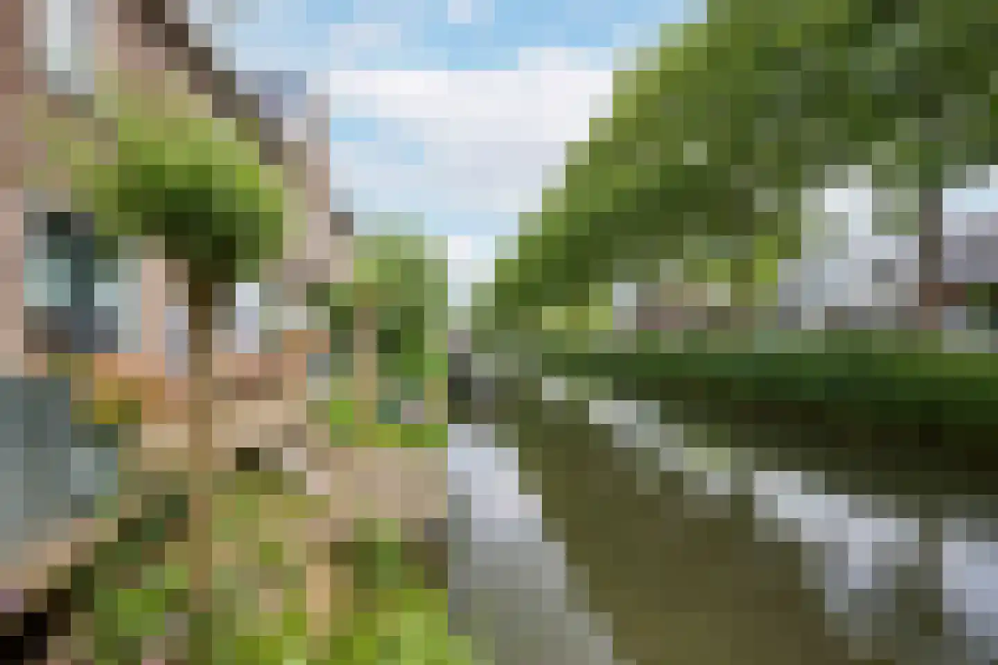 Lebeauhof 19 Leiden thumbnail 5