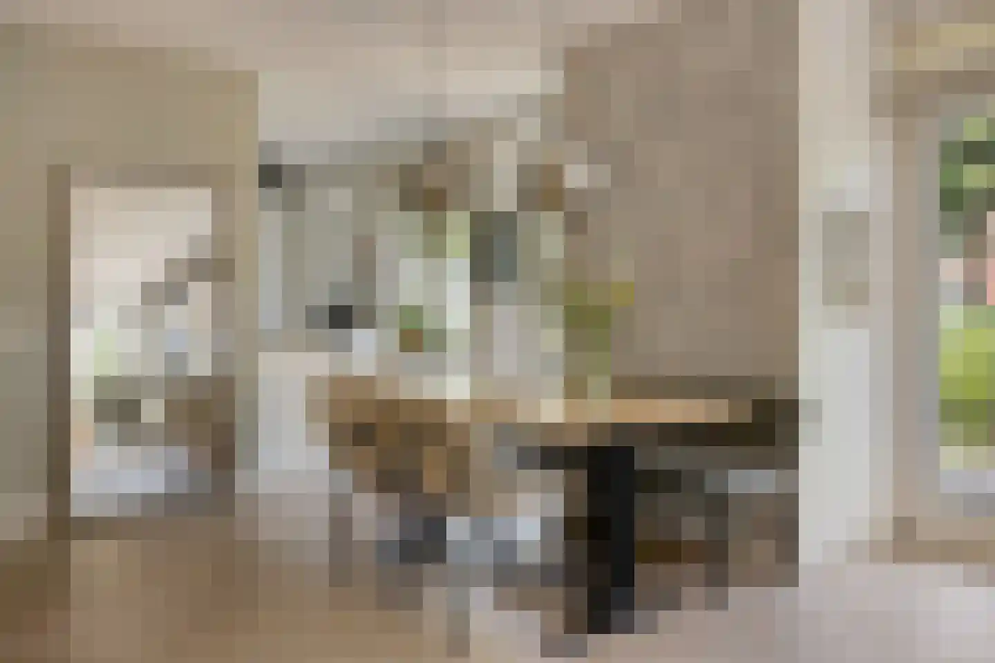 Lebeauhof 3 Leiden thumbnail 18