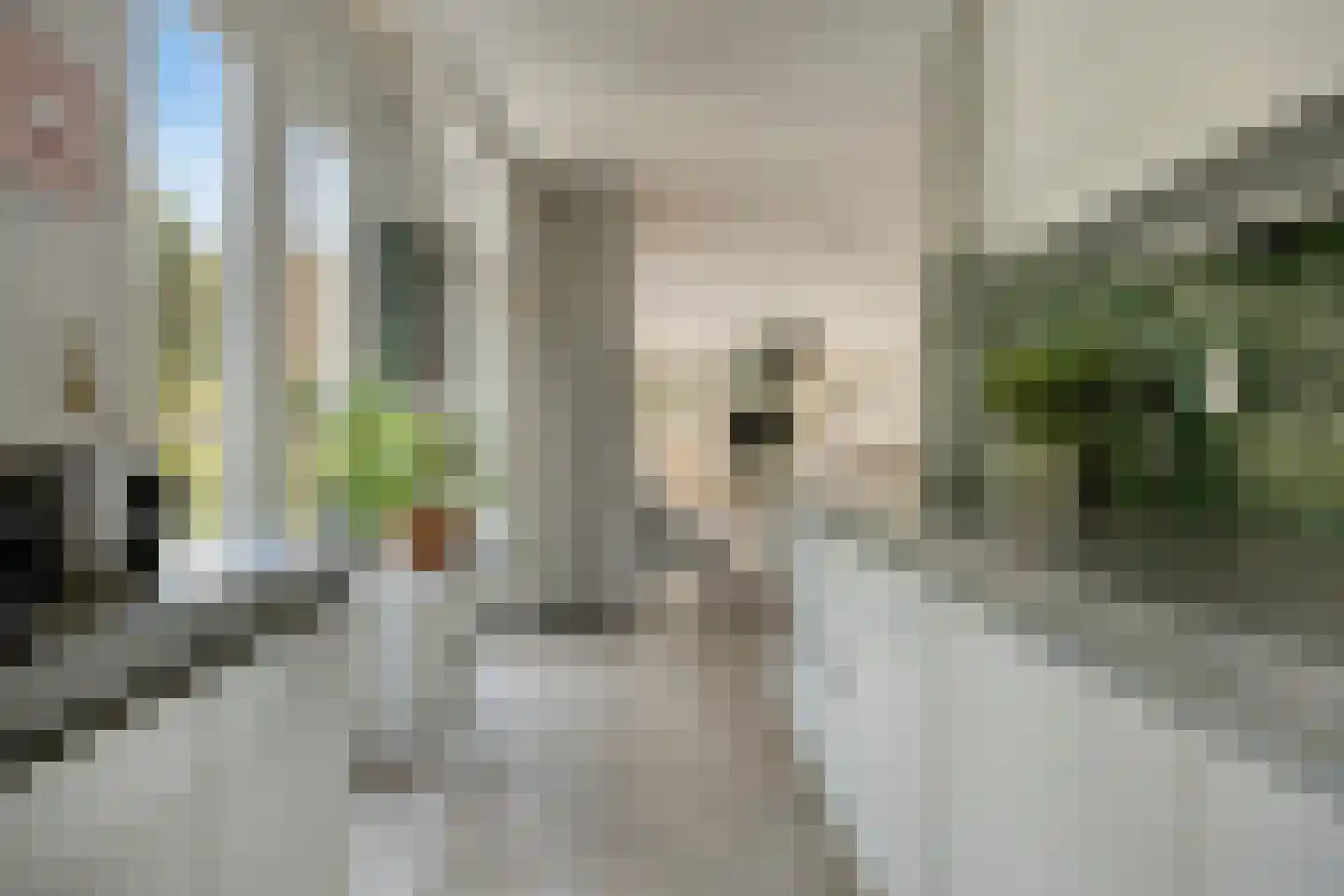 Lebeauhof 3 Leiden thumbnail 22