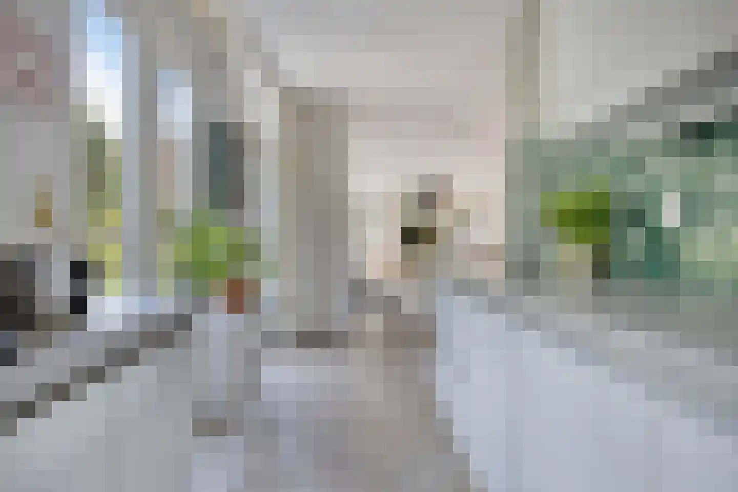 Lebeauhof 3 Leiden thumbnail 23