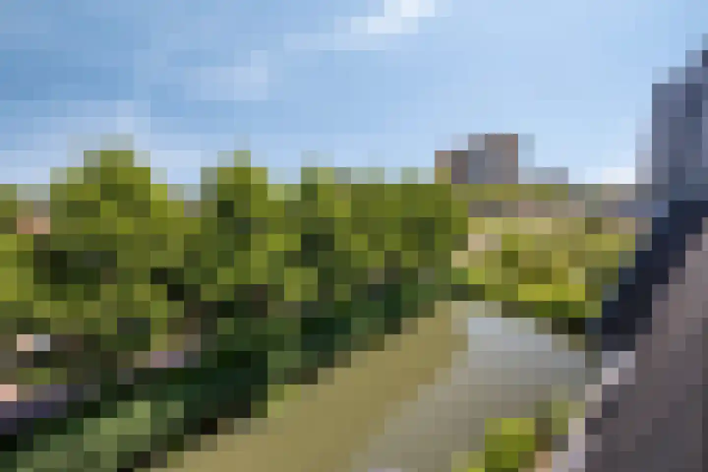 Lebeauhof 3 Leiden thumbnail 59