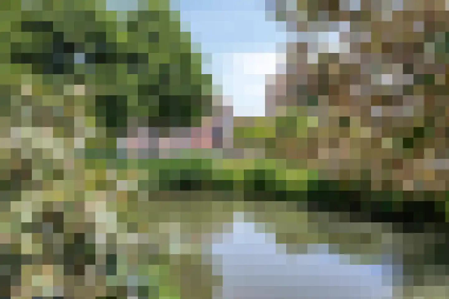 Lebeauhof 3 Leiden thumbnail 60