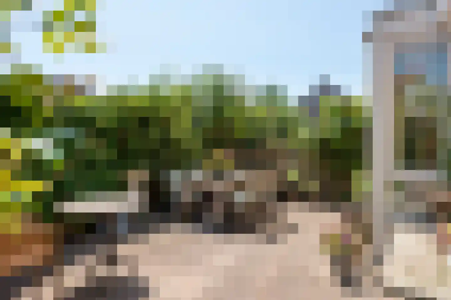 Lebretweg 20 Oosterbeek thumbnail 45