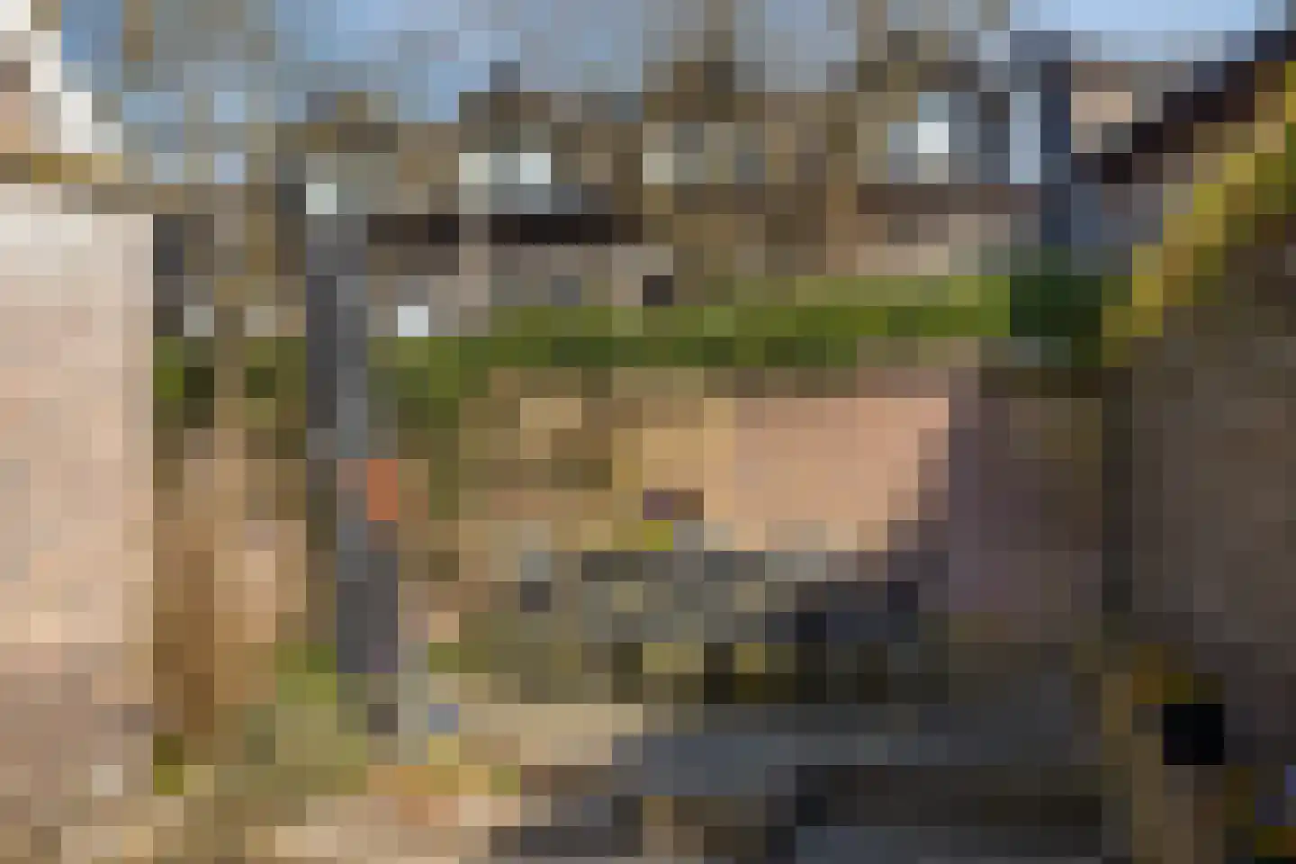 Lebretweg 45 Oosterbeek thumbnail 44