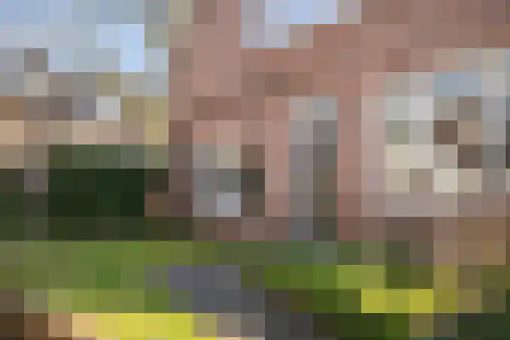 Lebretweg 45 Oosterbeek thumbnail 5