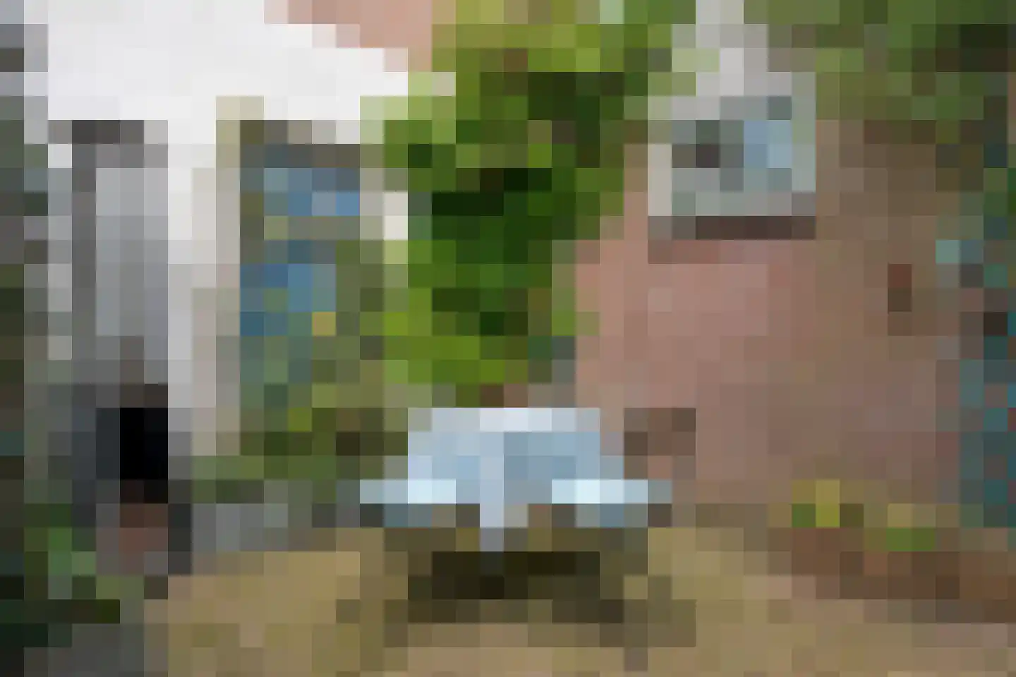 Lebretweg 66 Oosterbeek thumbnail 23