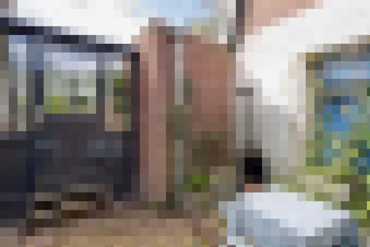 Lebretweg 66 Oosterbeek thumbnail 24