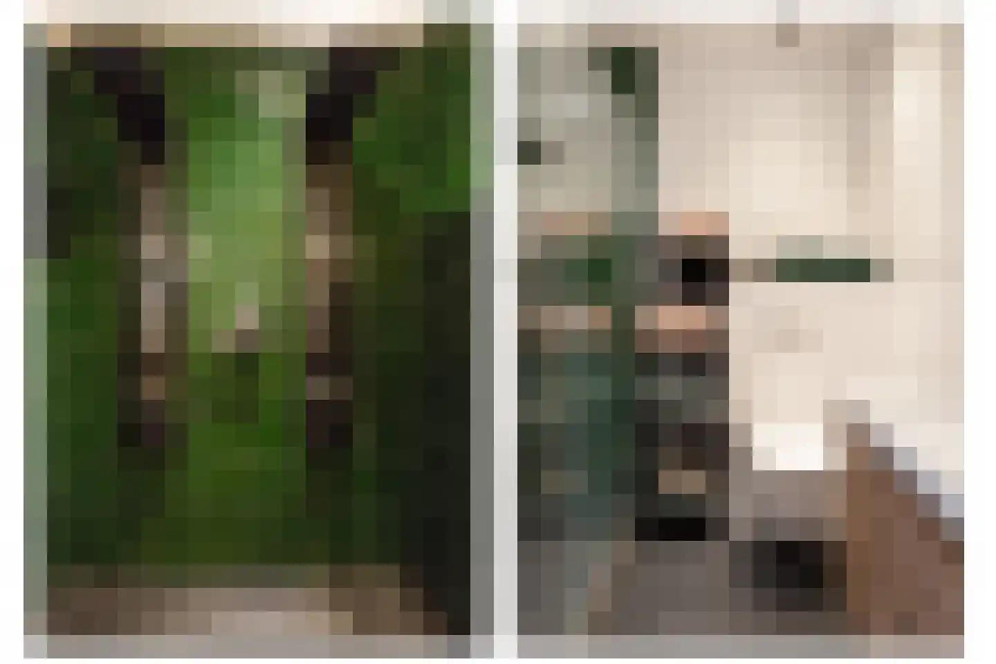 Lebretweg 66 Oosterbeek thumbnail 37