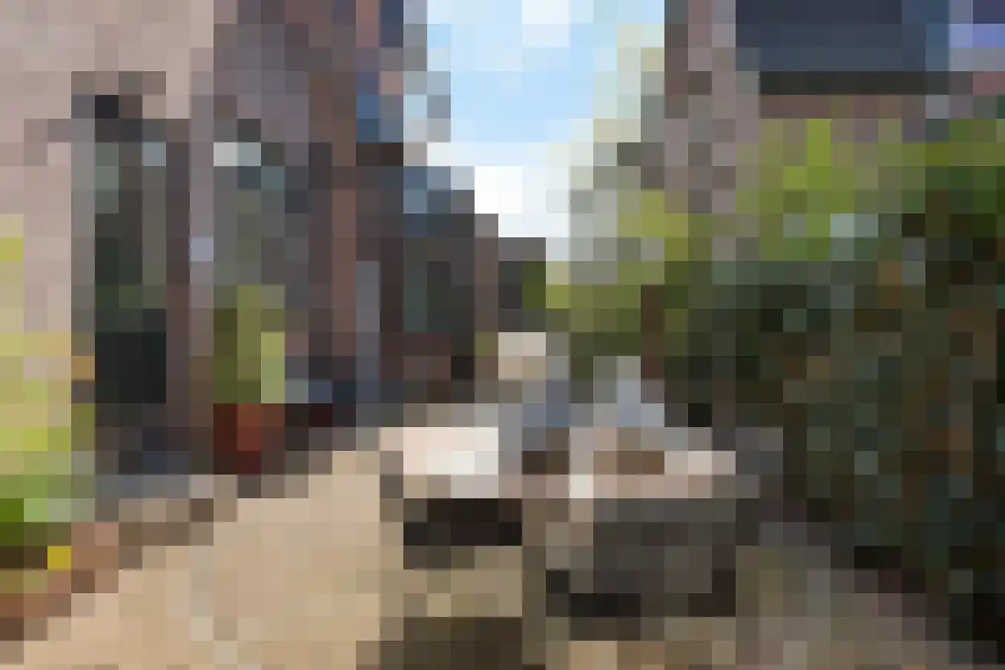 Lebretweg 66 Oosterbeek thumbnail 65