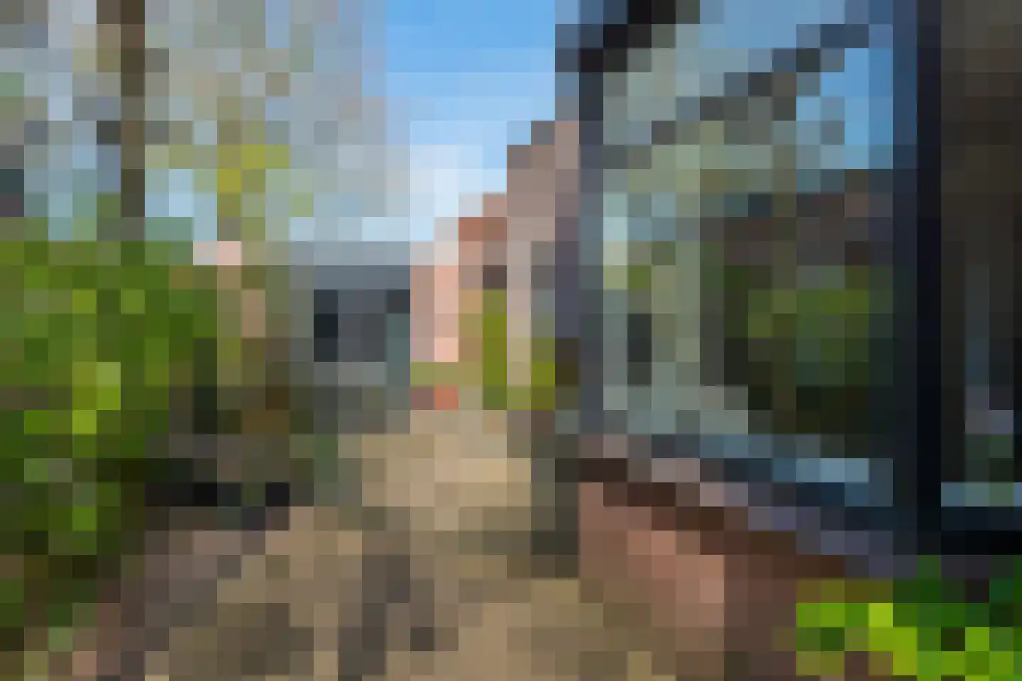 Lebretweg 66 Oosterbeek thumbnail 69