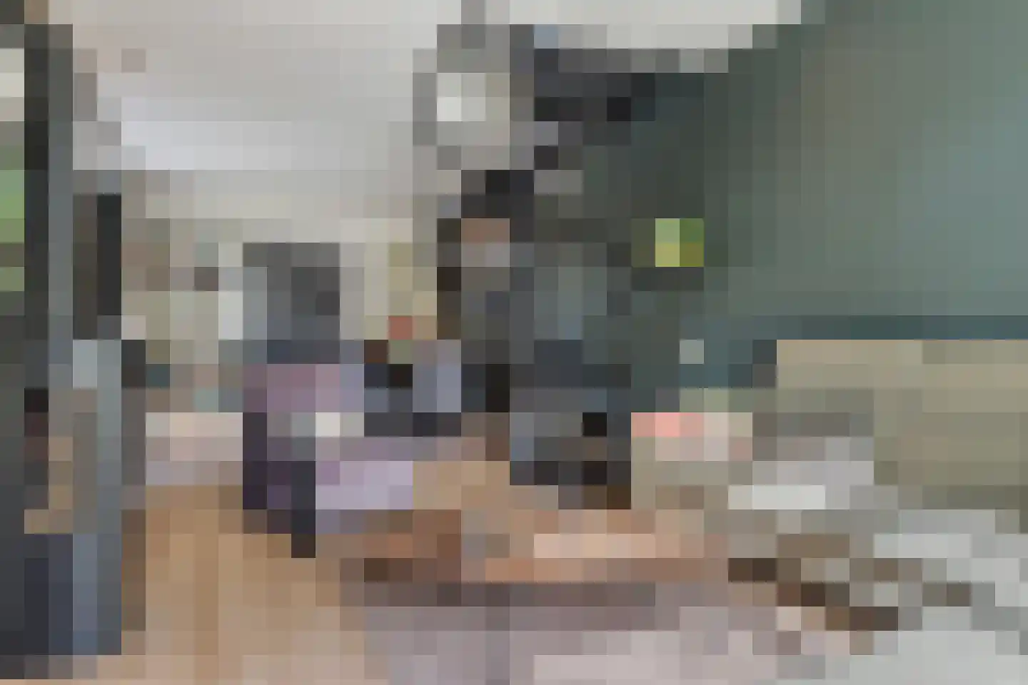 Lebretweg 66 Oosterbeek thumbnail 8