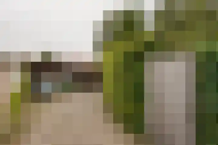 Lebretweg 70 Oosterbeek thumbnail 10