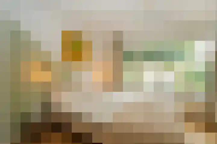 Lebretweg 70 Oosterbeek thumbnail 33