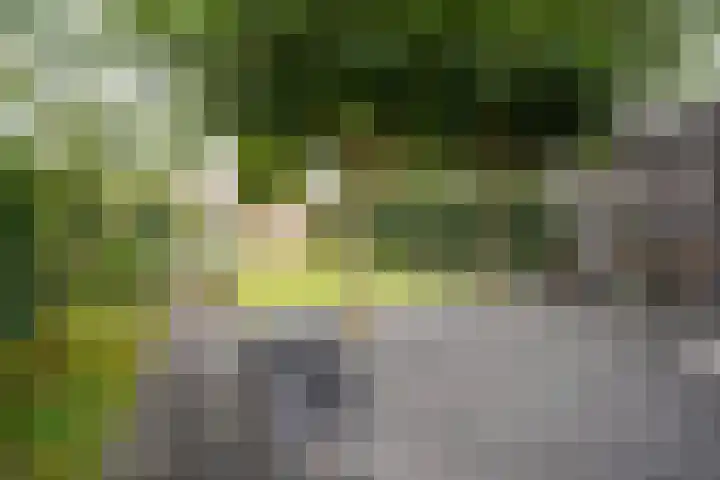 Lebretweg 70 Oosterbeek thumbnail 48