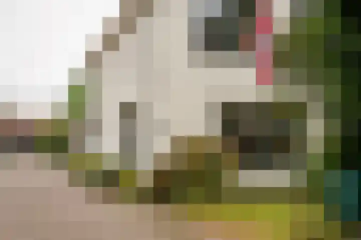 Lebretweg 70 Oosterbeek thumbnail 5
