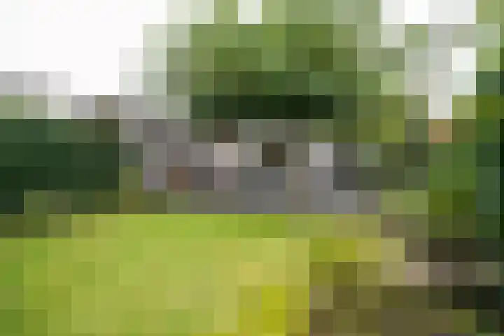 Lebretweg 70 Oosterbeek thumbnail 50