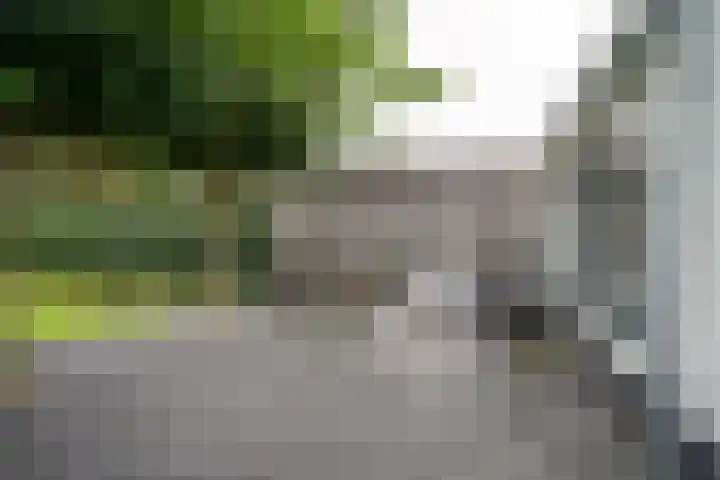 Lebretweg 70 Oosterbeek thumbnail 52