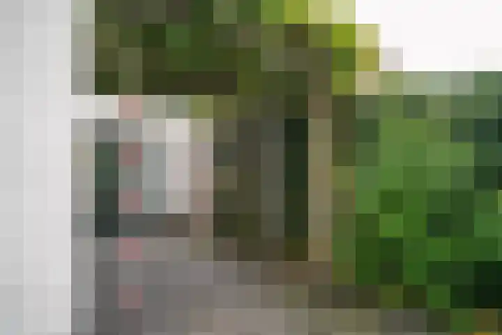 Lebretweg 70 Oosterbeek thumbnail 53