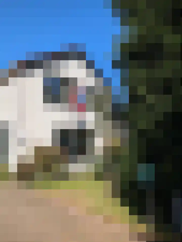 Lebretweg 70 Oosterbeek thumbnail 54