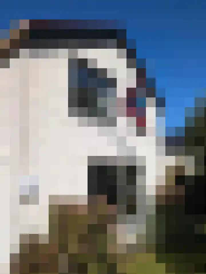 Lebretweg 70 Oosterbeek thumbnail 56