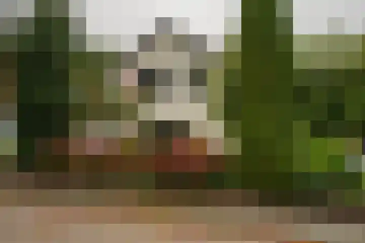 Lebretweg 70 Oosterbeek thumbnail 59