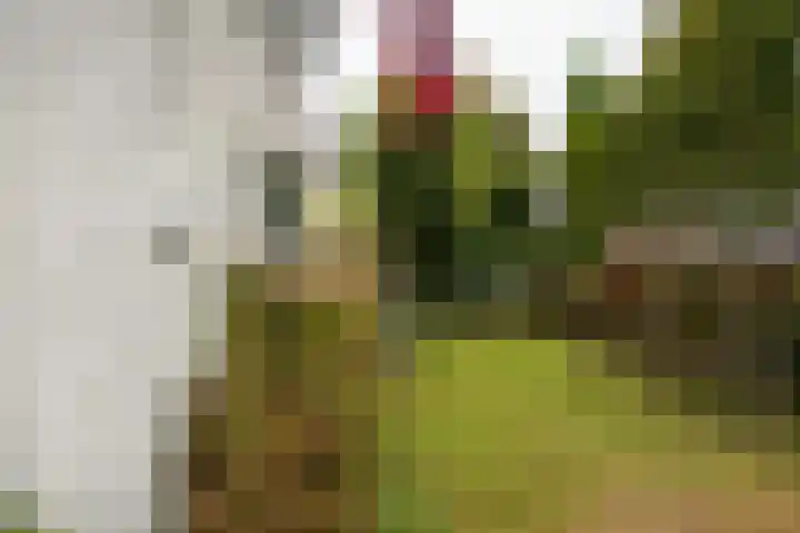 Lebretweg 70 Oosterbeek thumbnail 6