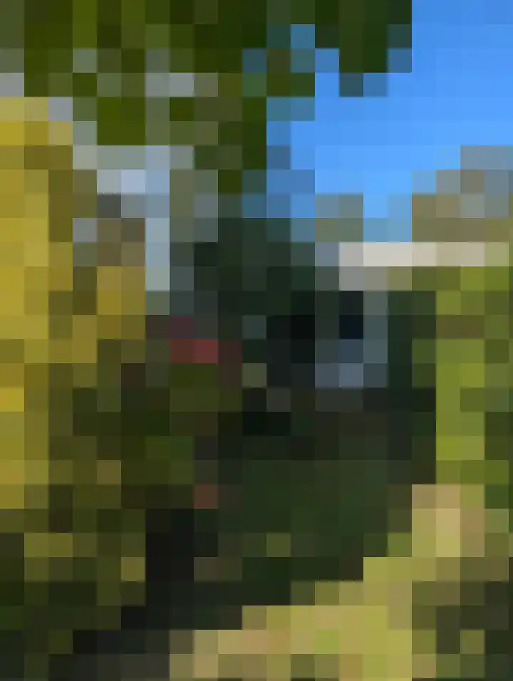 Lebretweg 70 Oosterbeek thumbnail 60