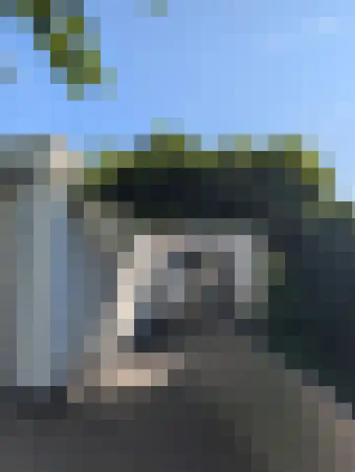 Lebretweg 70 Oosterbeek thumbnail 64
