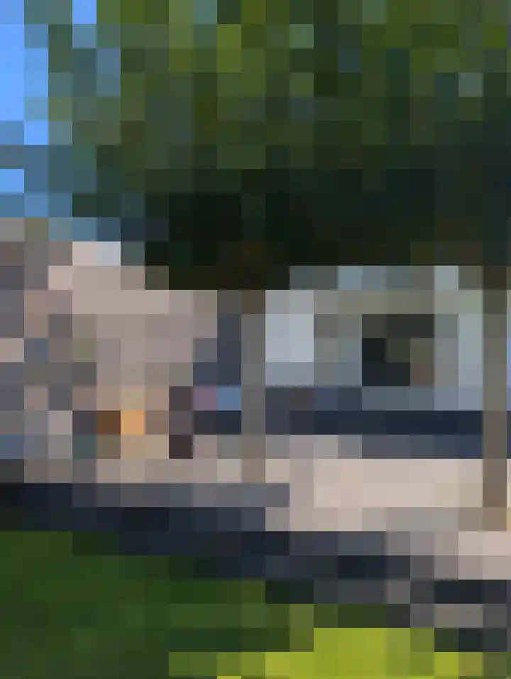 Lebretweg 70 Oosterbeek thumbnail 65
