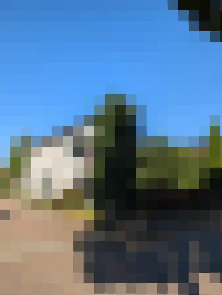 Lebretweg 70 Oosterbeek thumbnail 66