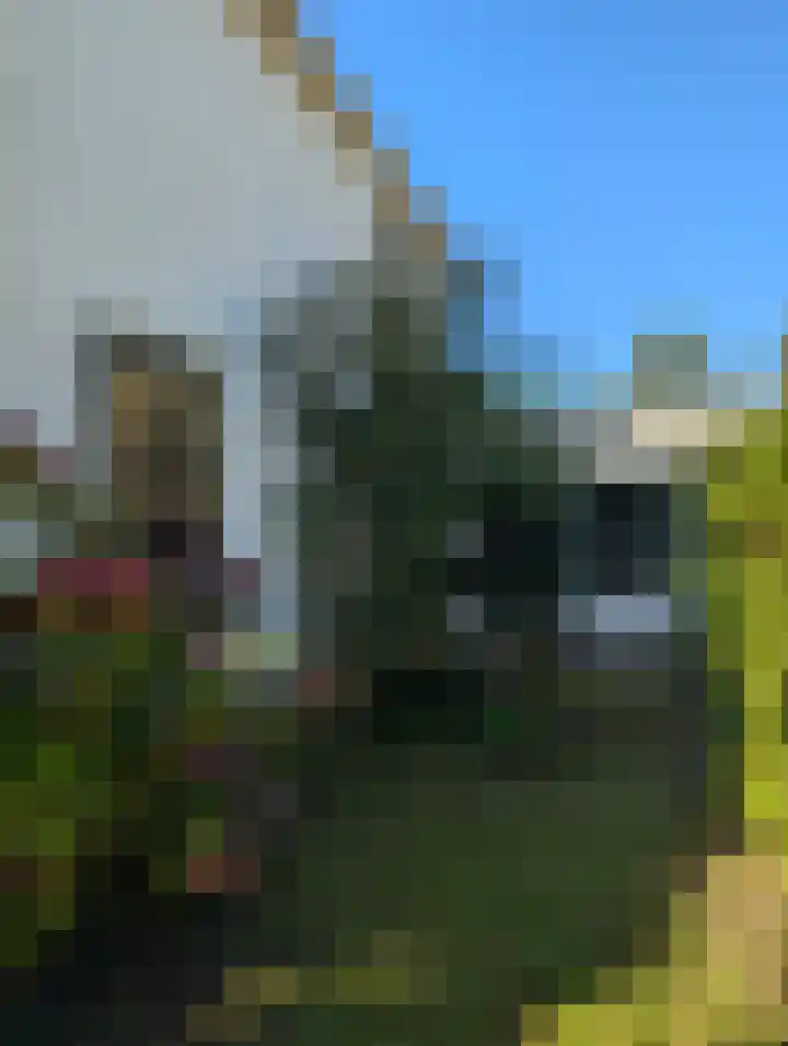 Lebretweg 70 Oosterbeek thumbnail 68