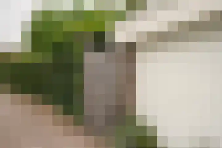Lebretweg 70 Oosterbeek thumbnail 8