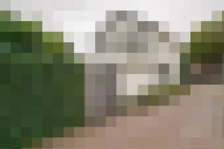 Lebretweg 70 Oosterbeek thumbnail 9