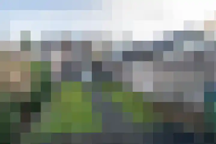 Lebretweg 74 Oosterbeek thumbnail 19