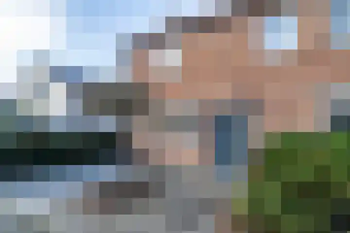 Lebretweg 74 Oosterbeek thumbnail 39