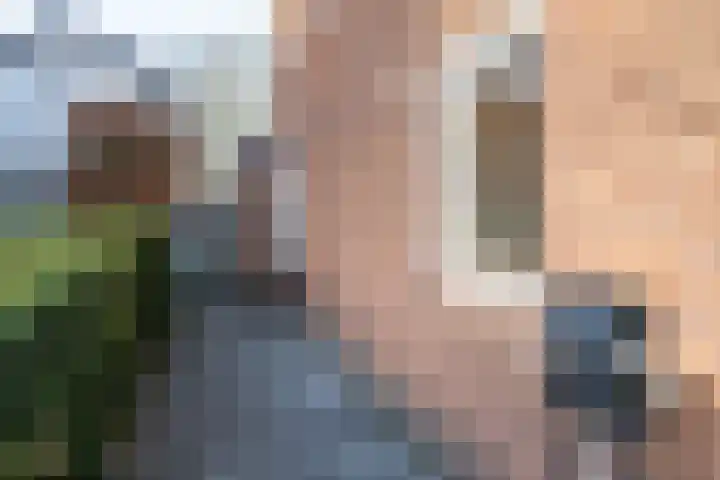 Lebretweg 74 Oosterbeek thumbnail 5