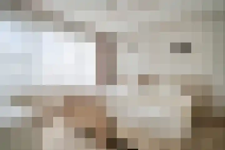 Lebuïnusstraat 7 Zoeterwoude thumbnail 33