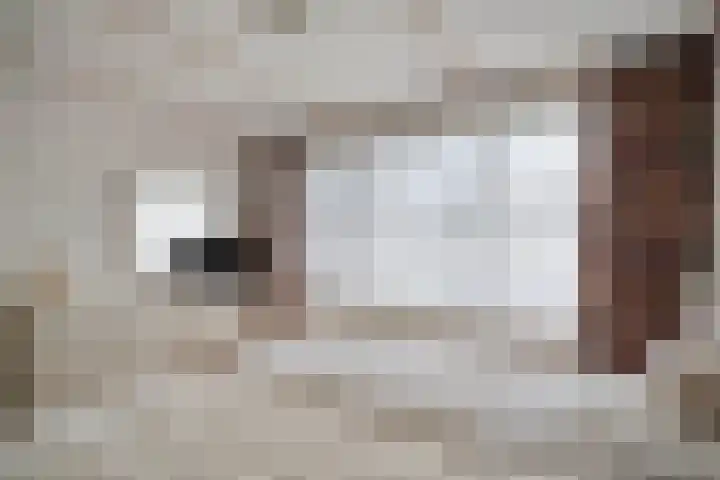 Lebuïnusstraat 7 Zoeterwoude thumbnail 35