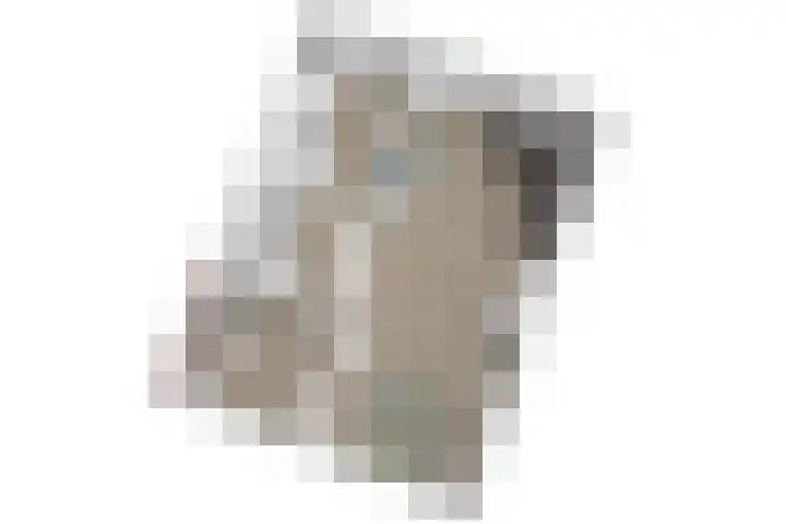 Lebuïnusstraat 7 Zoeterwoude thumbnail 45