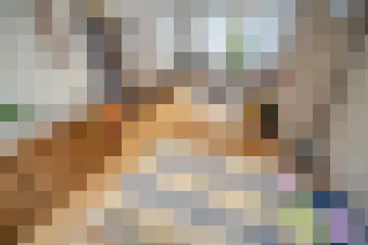 Lebuïnusstraat 7 Zoeterwoude thumbnail 5