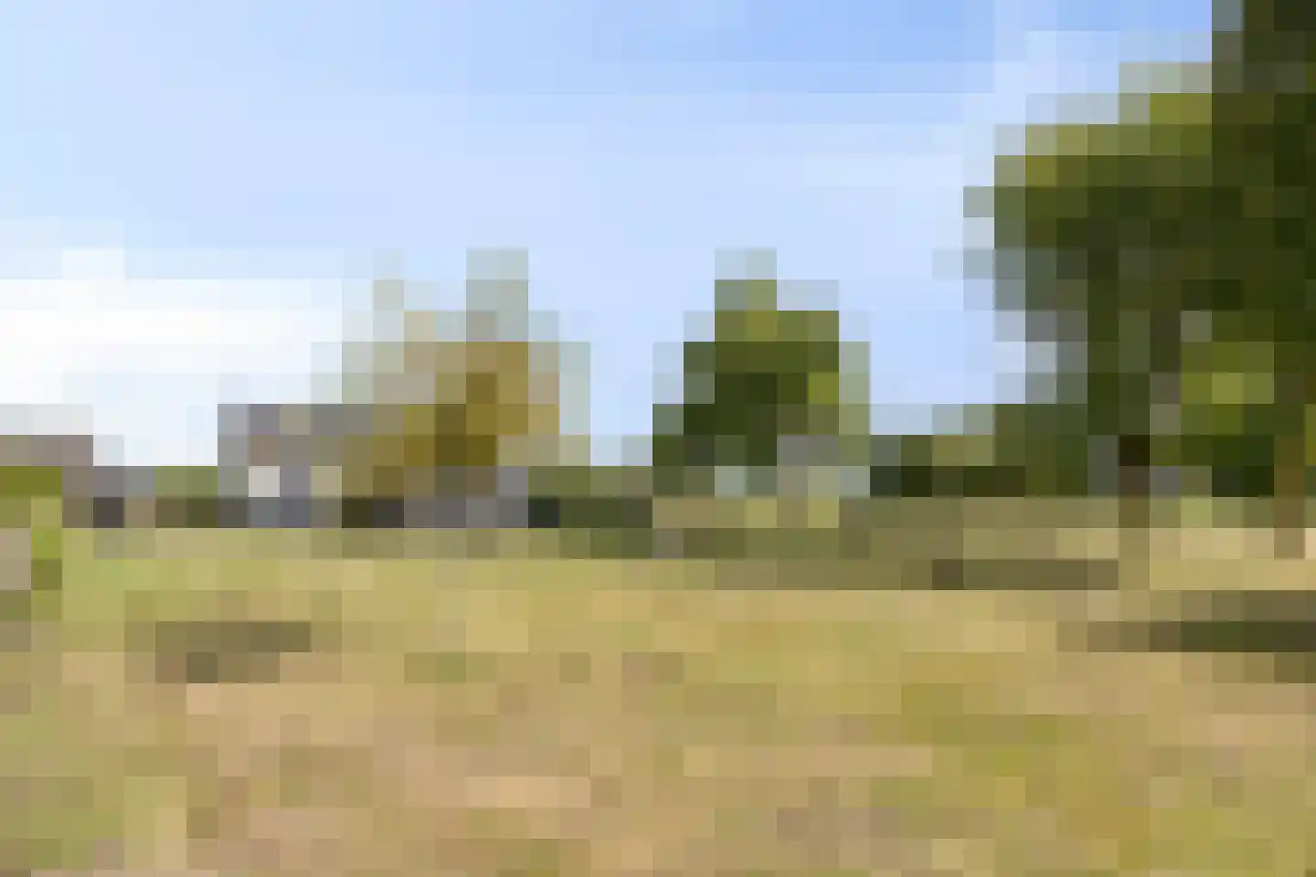 Lechstraat 4 Herveld thumbnail 12
