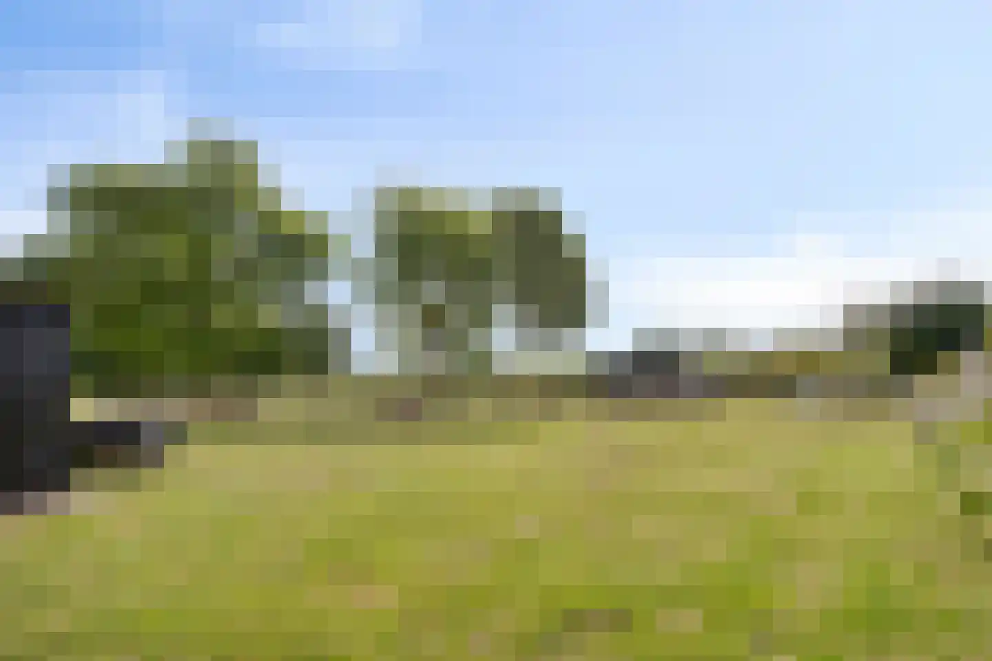 Lechstraat 4 Herveld thumbnail 14