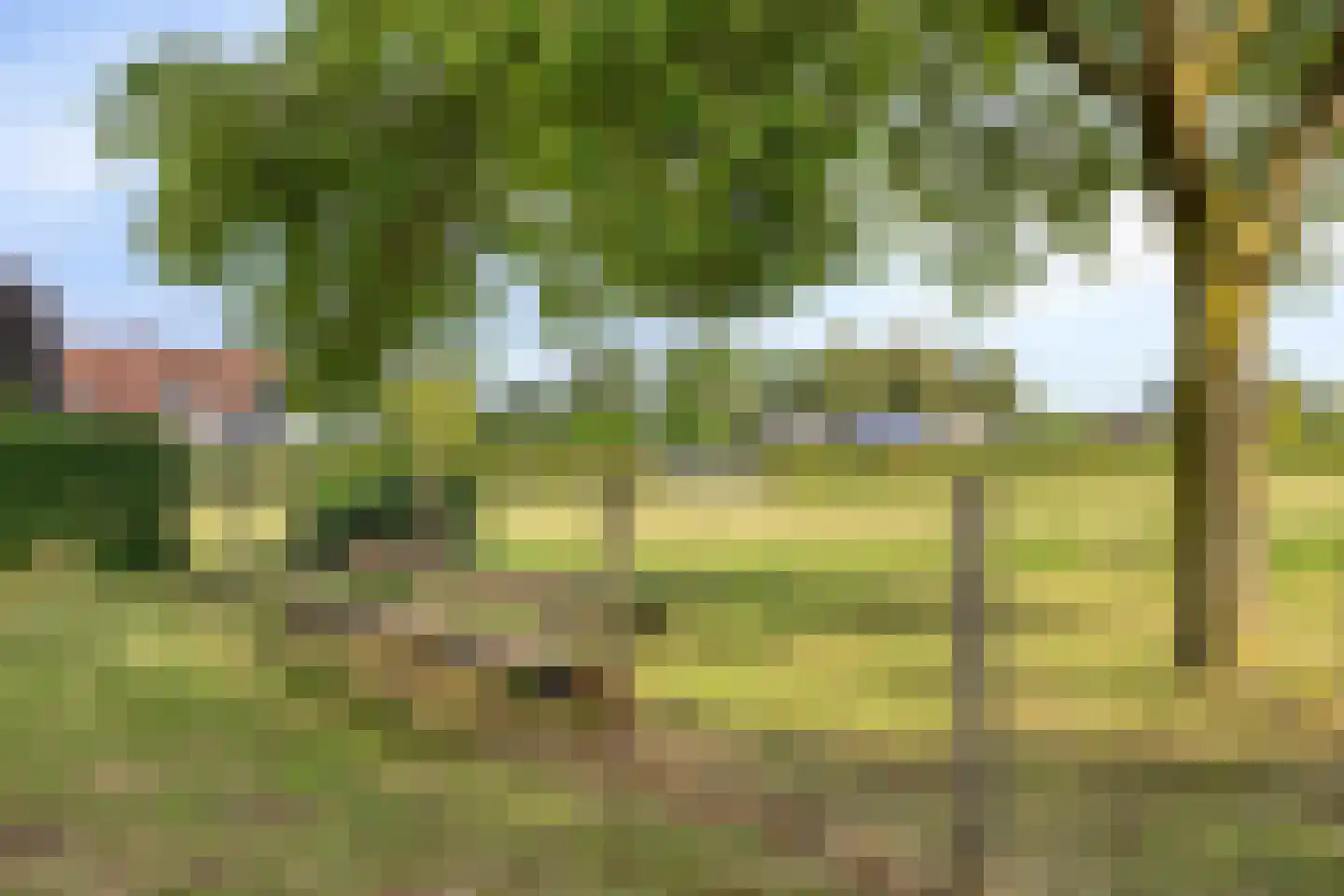 Lechstraat 4 Herveld thumbnail 15