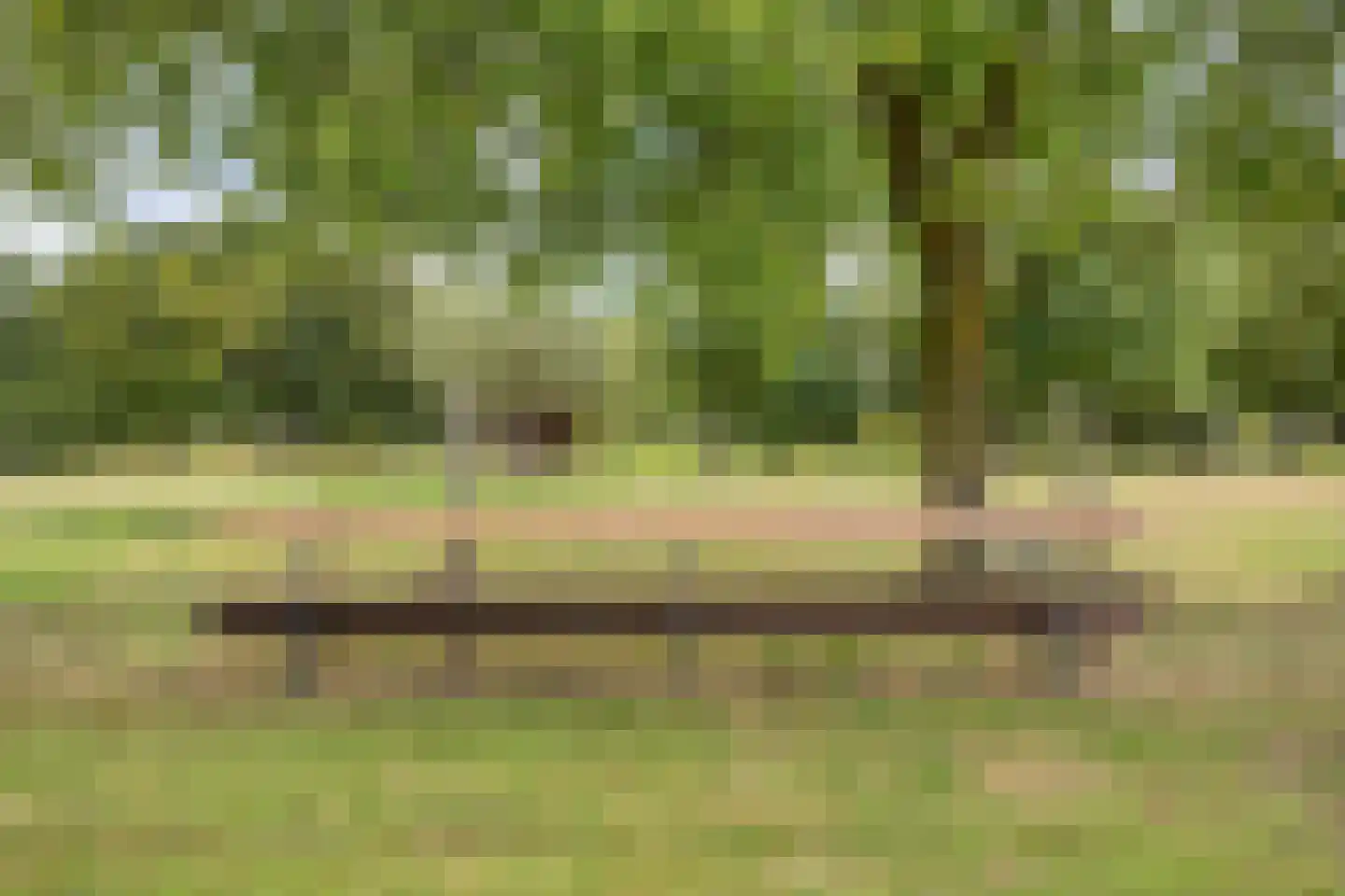Lechstraat 4 Herveld thumbnail 16