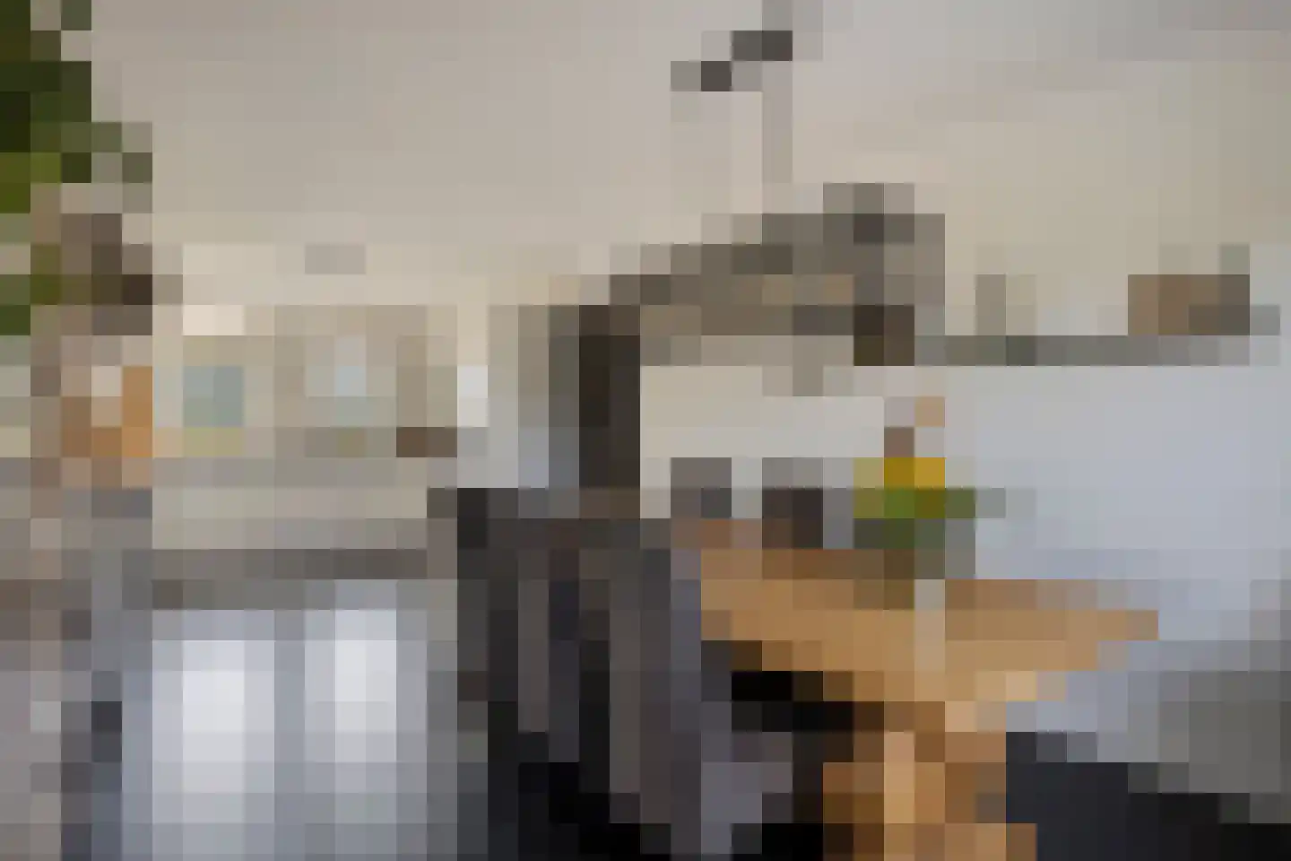 Lechstraat 4 Herveld thumbnail 34