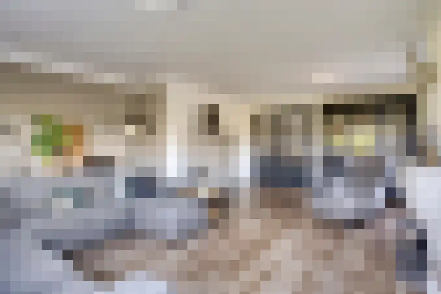Lechstraat 4 Herveld thumbnail 44