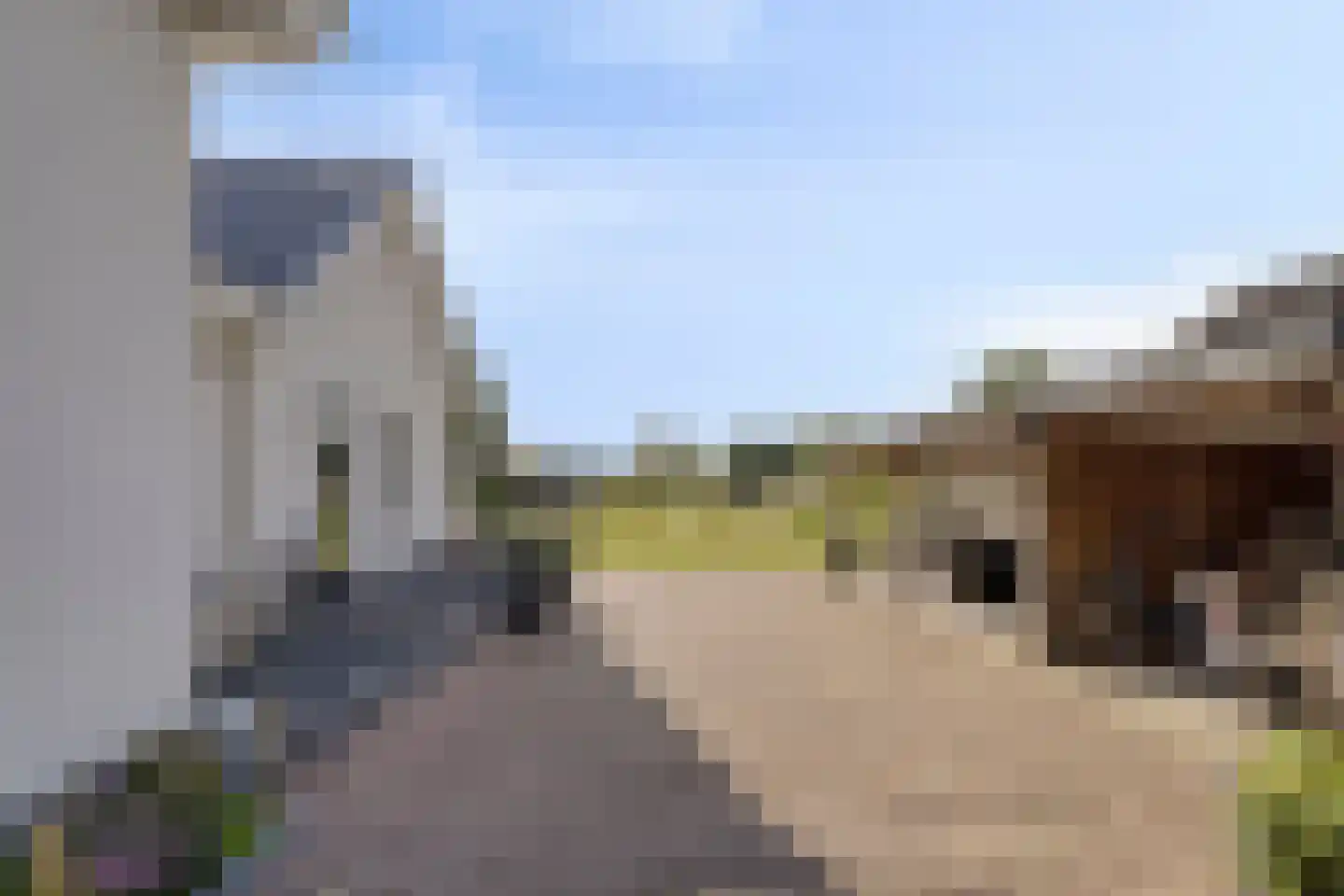 Lechstraat 4 Herveld thumbnail 5
