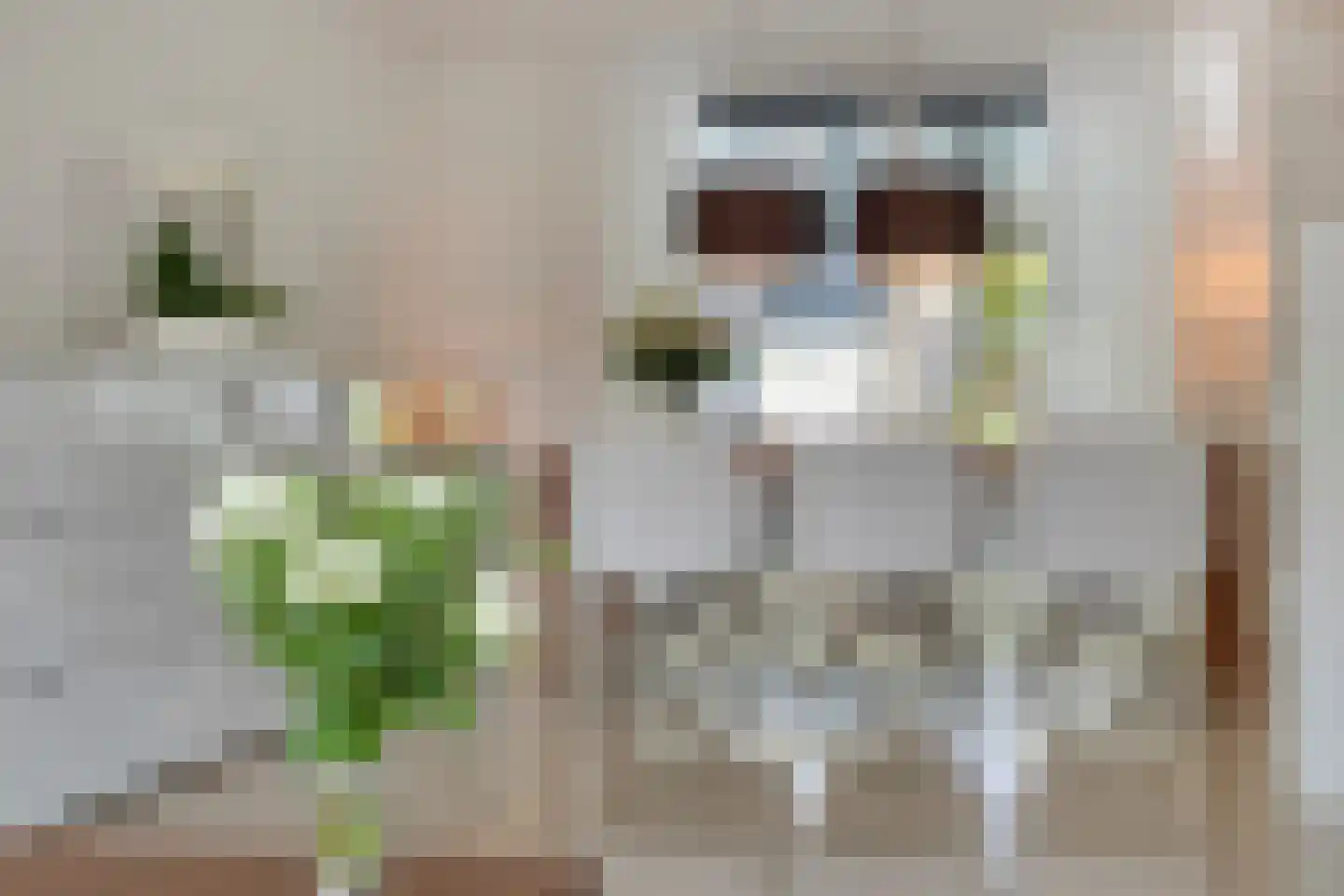 Ledalaan 17 Enschede thumbnail 11