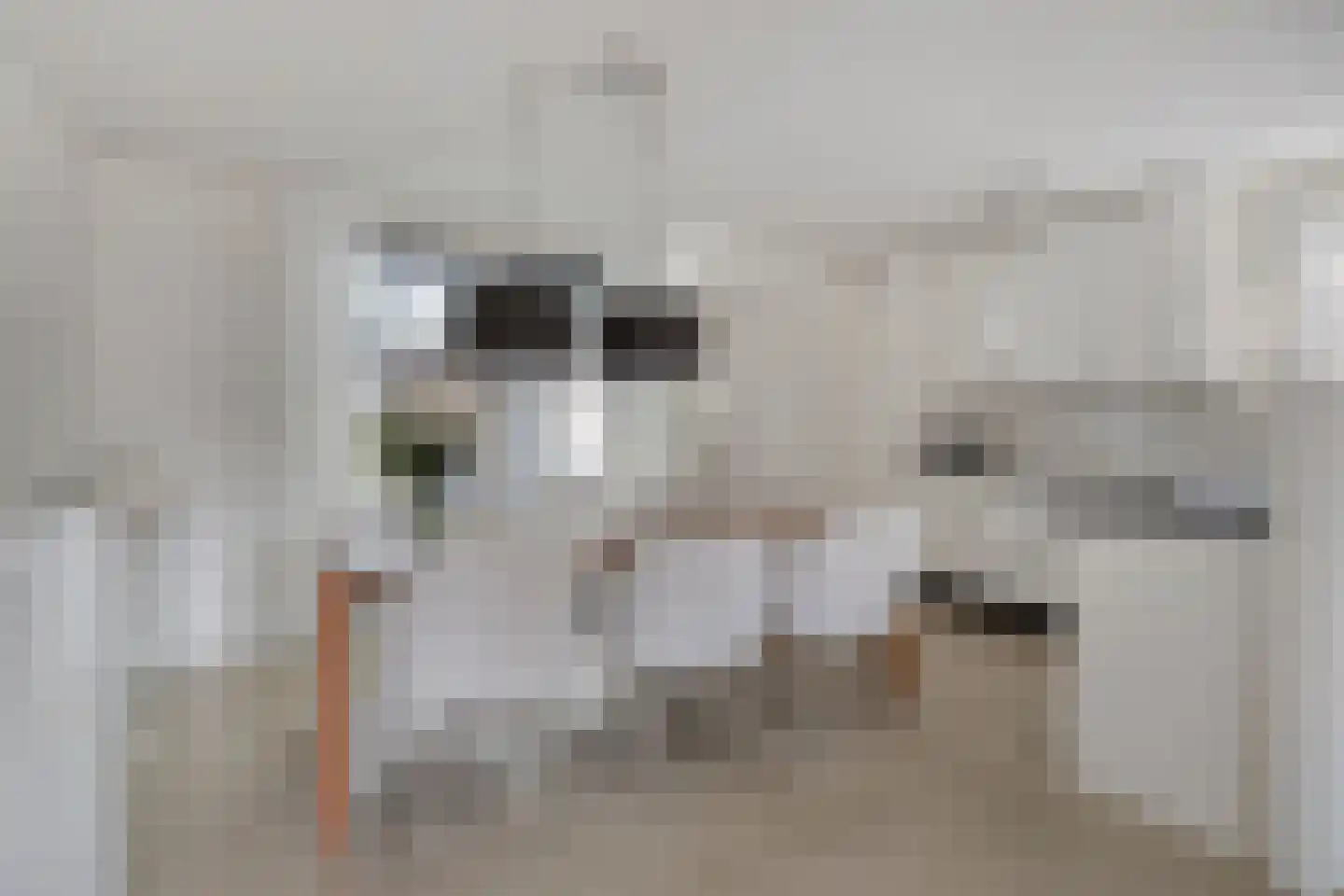 Ledalaan 17 Enschede thumbnail 14