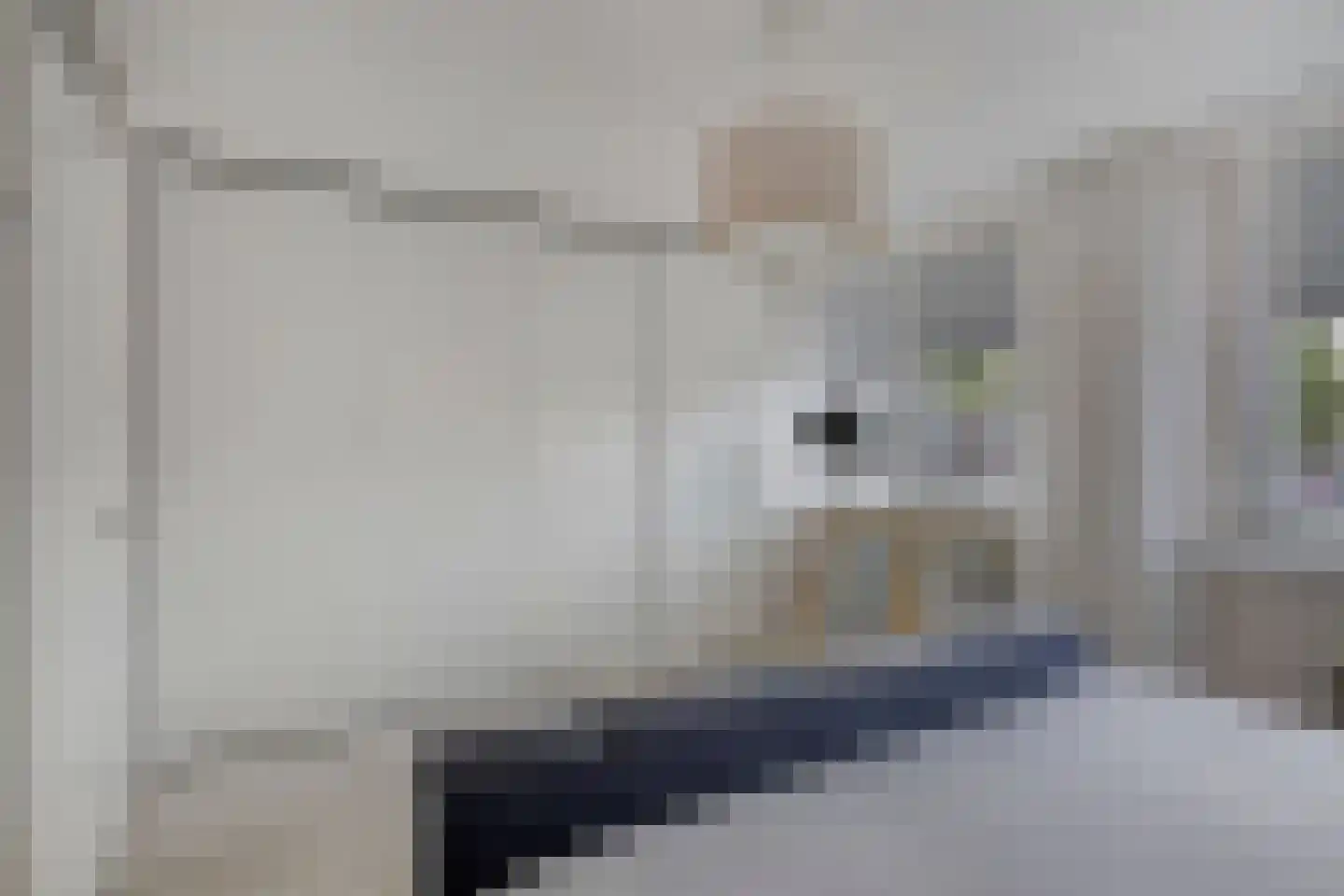 Ledalaan 17 Enschede thumbnail 18
